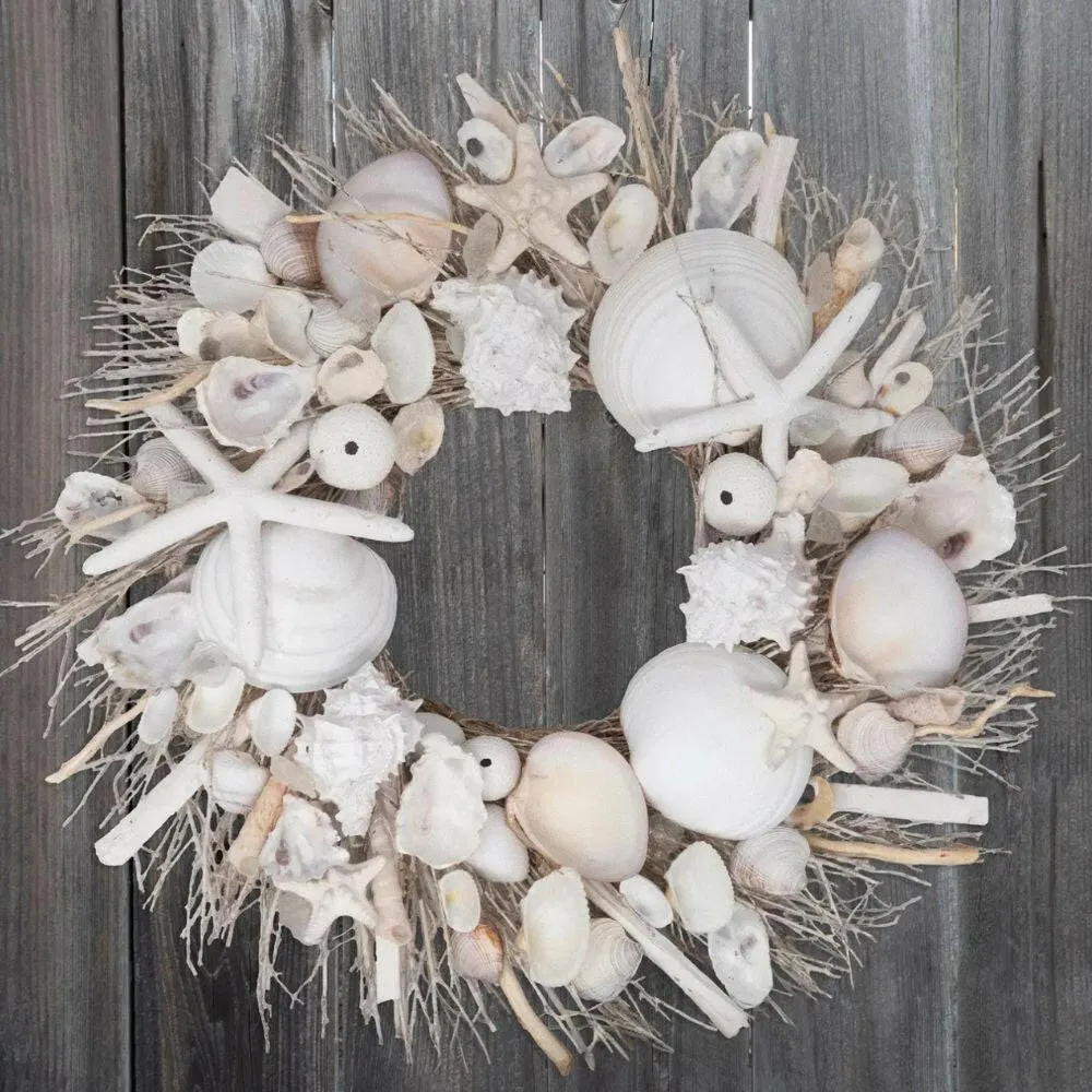 19" White Washed Shell & Urchin Door Wreath