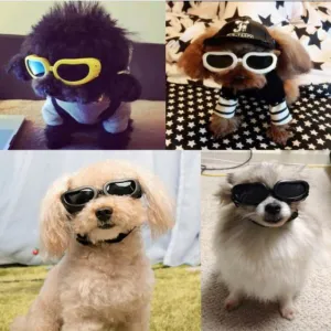 Adjustable Small Dog Goggles: Protect Your Pup’s Eyes in Style!