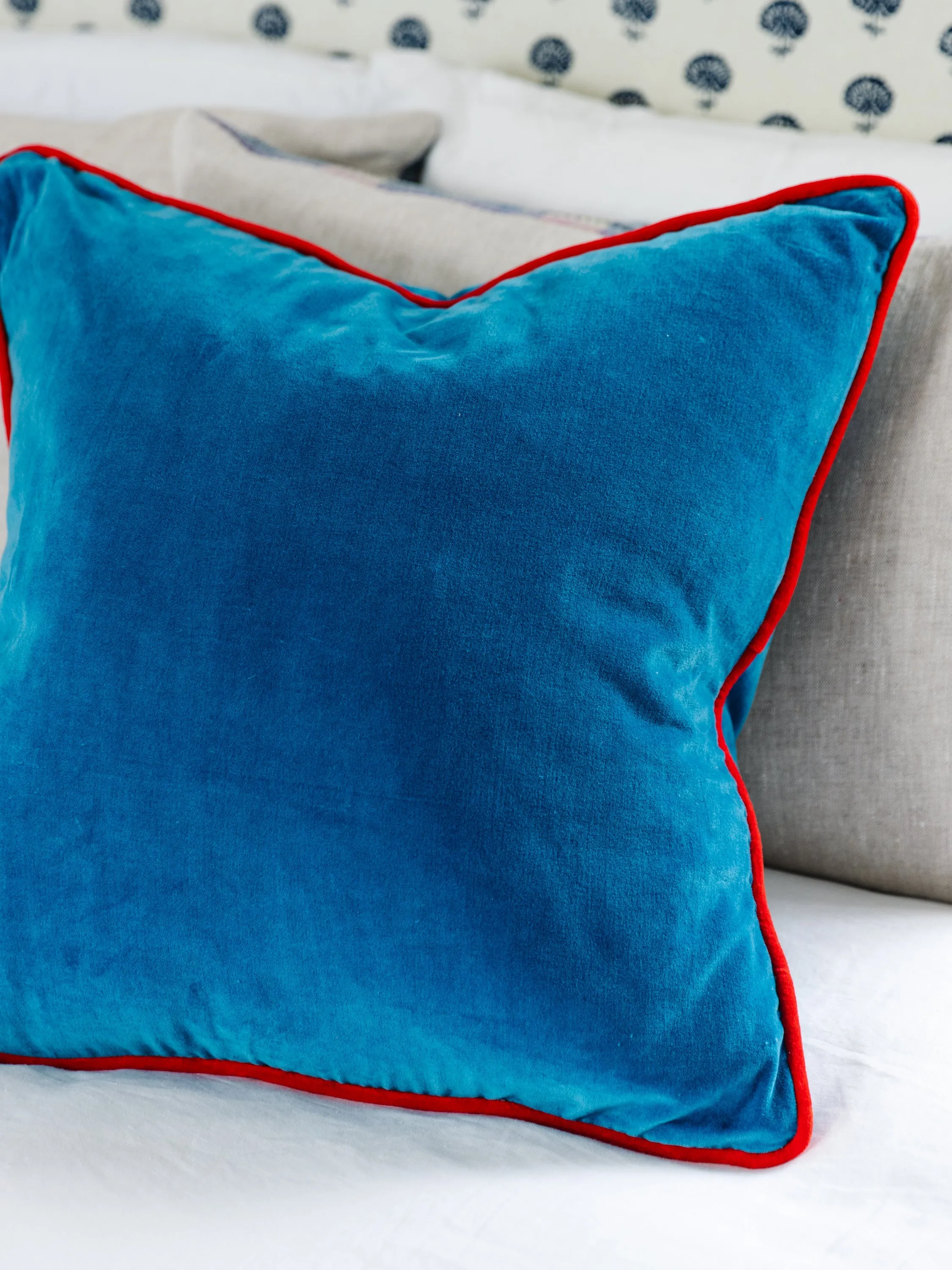 Charliss Velvet Pillow - Peacock/Cherry